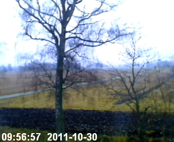 current image 2